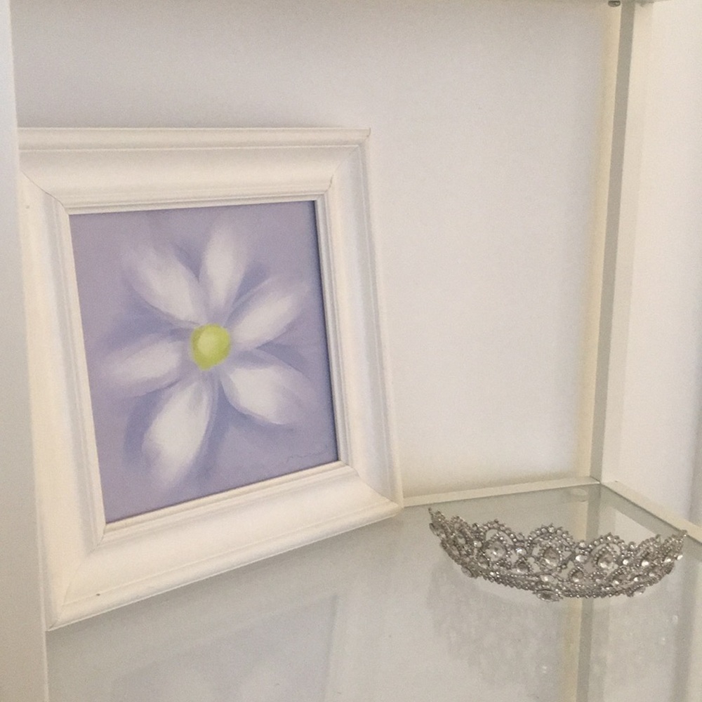 FLOWER POWER “DAISY” PAINTING TARGET